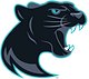 PC Primary Logo.png